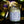 Load image into Gallery viewer, Mardi Gras King Cake - Vanilla | Cinnamon | Cream Frosting - 8 oz. Soy Wax Candle