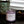 Load image into Gallery viewer, Monet - Sea Salt | Lily | Orchid - 8 oz. Soy Wax Candle