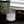 Load image into Gallery viewer, Provence - Lemon | Lavender | Bergamot - 8 oz. Soy Wax Candle