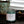 Load image into Gallery viewer, Serenity - Eucalyptus | Peppermint | Clove - 8 oz. Soy Wax Candle