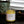 Load image into Gallery viewer, Southern Sun - Lemon | Jasmine | Honeysuckle - 8 oz. Soy Wax Candle
