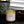 Load image into Gallery viewer, Southern Sun - Lemon | Jasmine | Honeysuckle - 8 oz. Soy Wax Candle