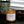 Load image into Gallery viewer, Sweet Heat - Mandarin | Chili Pepper | Guava - 8 oz. Soy Wax Candle
