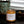 Load image into Gallery viewer, Sweet Heat - Mandarin | Chili Pepper | Guava - 8 oz. Soy Wax Candle