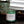 Load image into Gallery viewer, Take a Hike - Pine | Cypress | Cedar Leaf - 8 oz. Soy Wax Candle